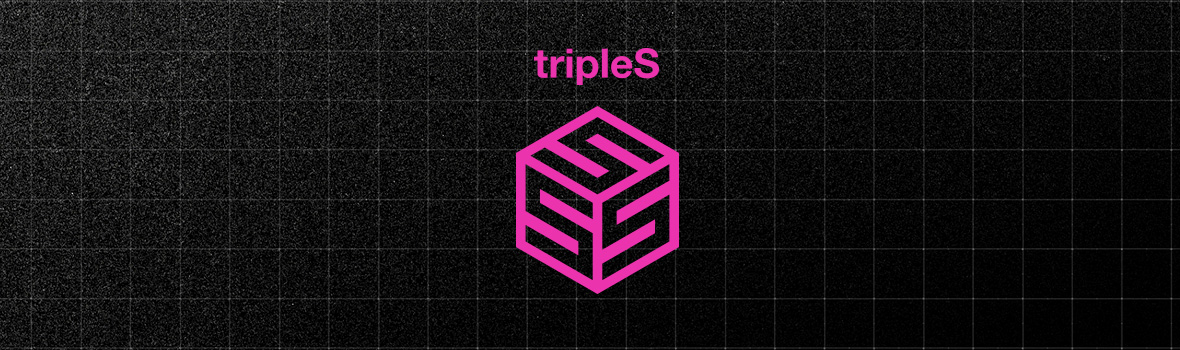 tripleS - Acid Angel from Asia <ACCESS> Video Call Event
